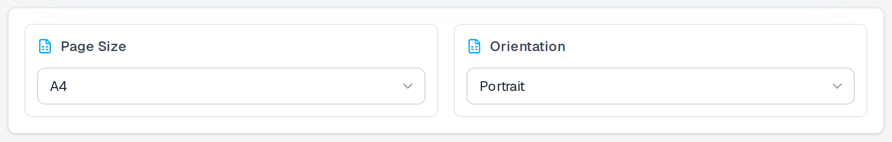 Excel to PDF settings — Letter page, Portrait, Auto-scale columns